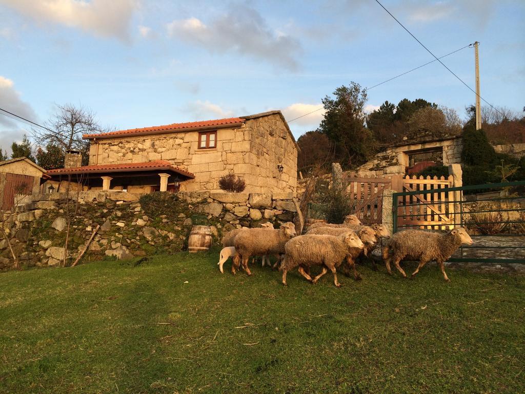 Refugio Dos Cregos Guest House Riba de Mouro Bagian luar foto